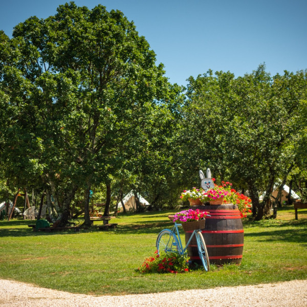 Camping Freedom Istria, Camping Freedom Istria - mjesto za kampiranje u sredi&scaron;njoj Istri Žminj