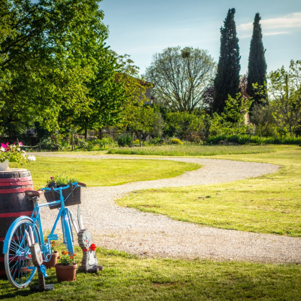 Camping Freedom Istria, Camping Freedom Istria - mjesto za kampiranje u sredi&scaron;njoj Istri Žminj
