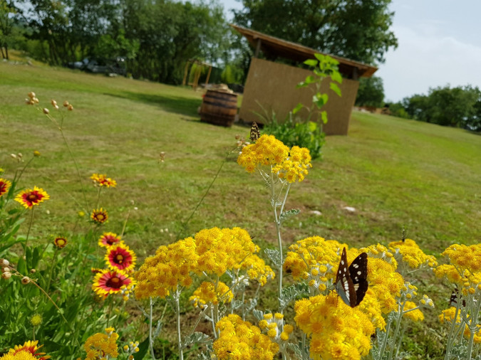 Camping Freedom Istria - a camping spot in central Istria Žminj