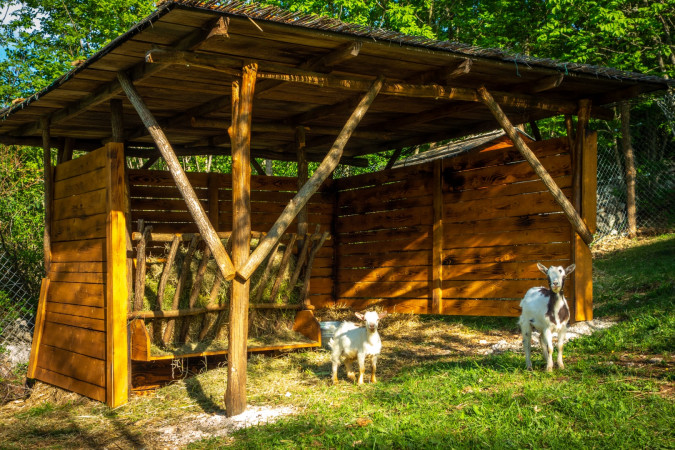 Camping Freedom Istria - a camping spot in central Istria Žminj