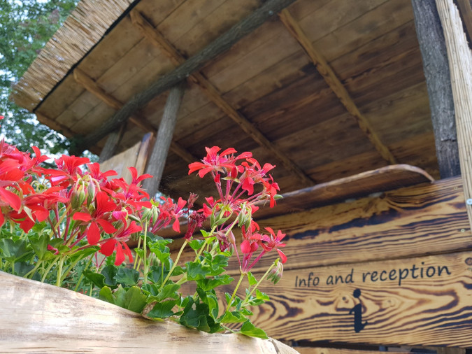 Camping Freedom Istria - a camping spot in central Istria Žminj